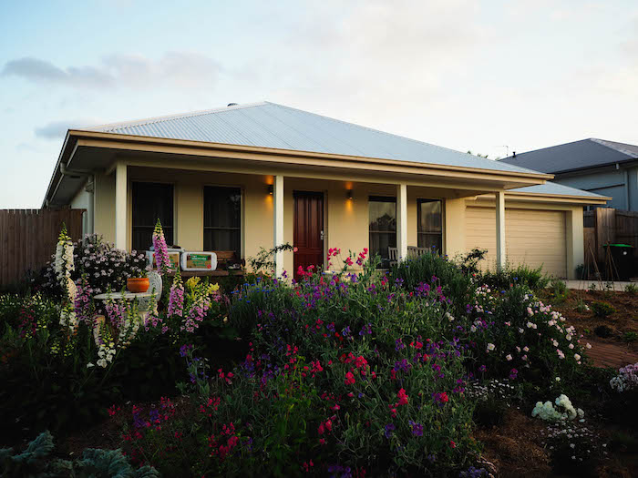 Flowers in the front garden of a property in Brisbane