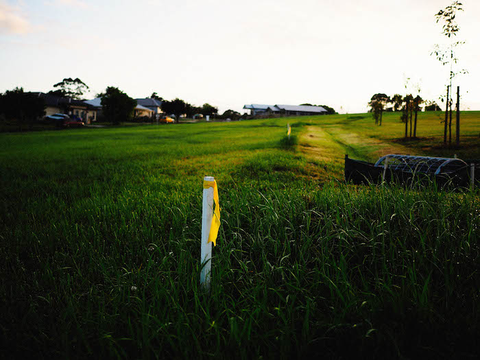 A block of land in Brisbane ready for a new build