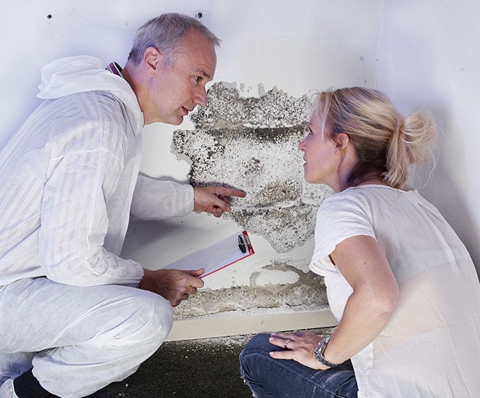 Building and Pest Inspection – why you need it